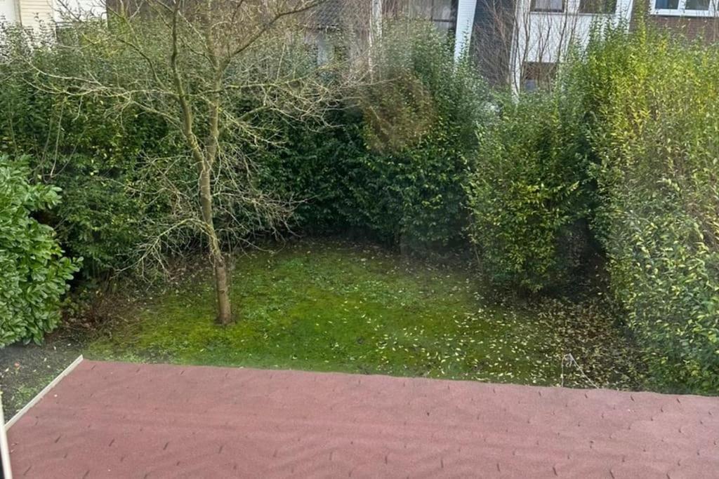 Kleines Haeuschen In Cadzand-Bad Εξωτερικό φωτογραφία